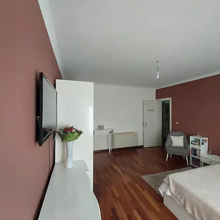 Feriehus Casa Flamingo Viseu